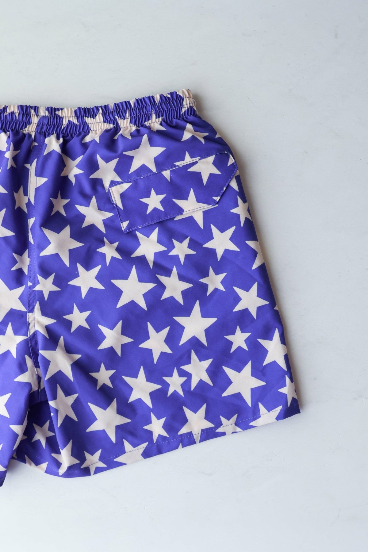 Nick Swim Trunk in Mustang | Skatie