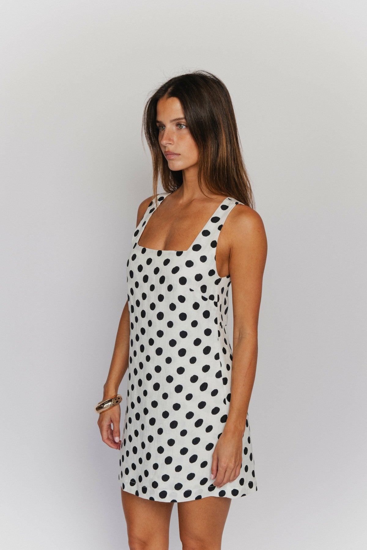 Icon Mini Dress in Pinup | Skatie