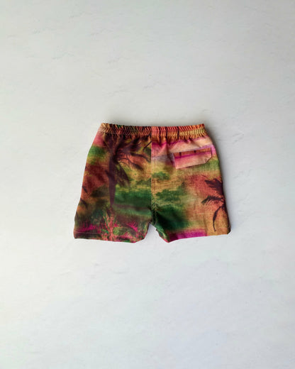 Jones Swim Trunks in Careyes | Skatie