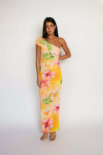 Caroline Maxi Dress in Plumeria | Skatie