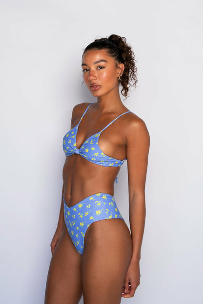 Sarah Top in Chickadee | Skatie